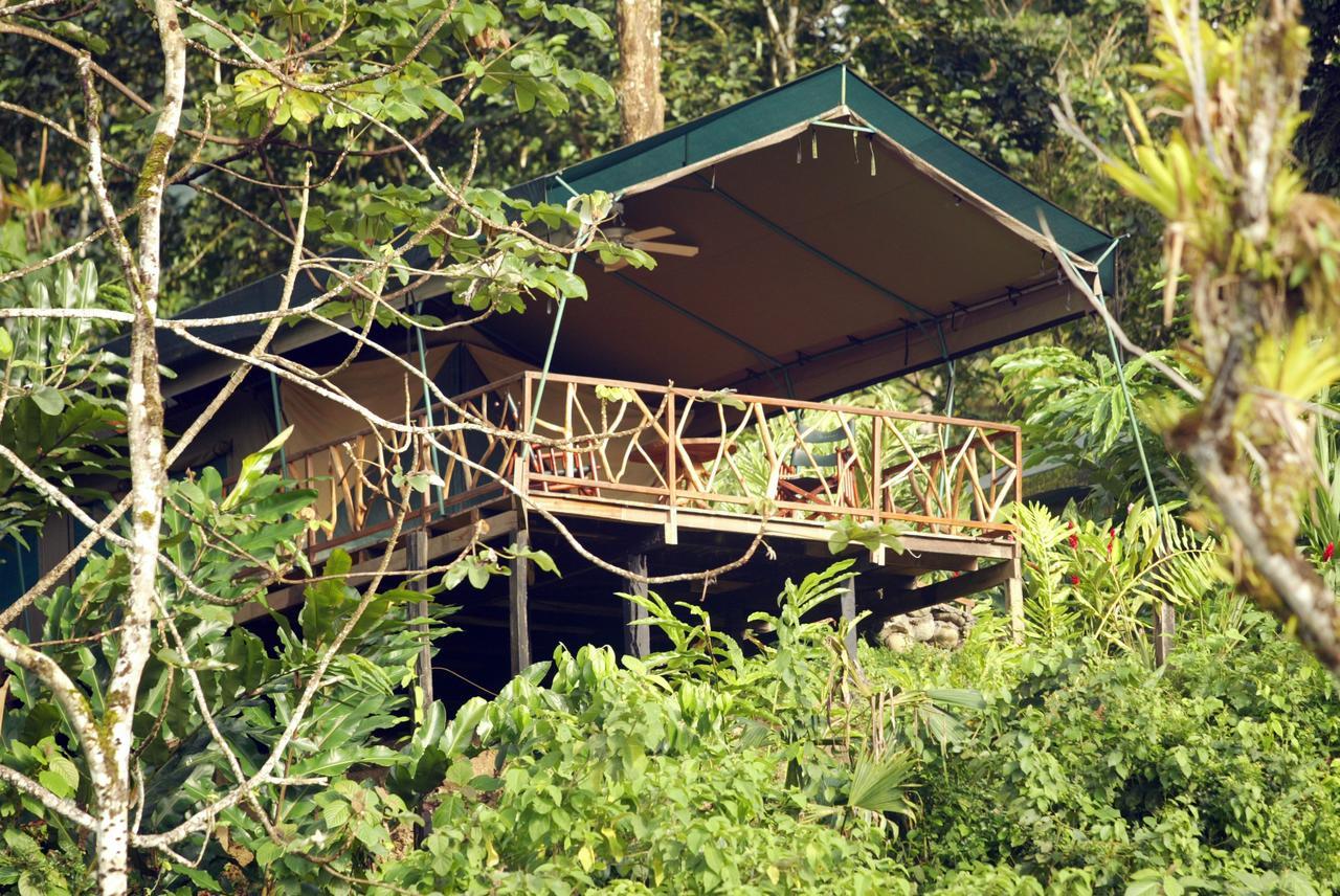 Rafiki Safari Lodge Savegre Kamer foto